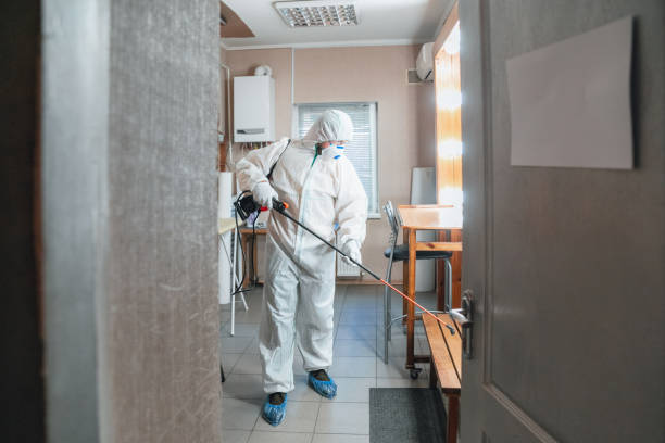 Best Mold Remediation for Healthcare Facilities  in Lubeck, WV