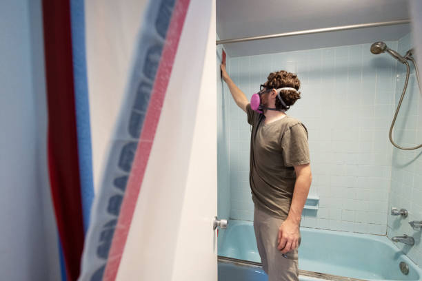 Best Air Quality Testing for Mold Spores  in Lubeck, WV