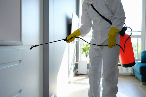 Best Asbestos and Lead Testing During Mold Inspection  in Lubeck, WV