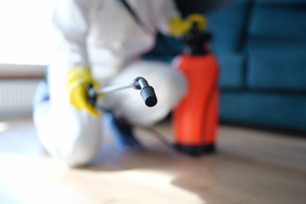 Lubeck, WV Mold Removal Company